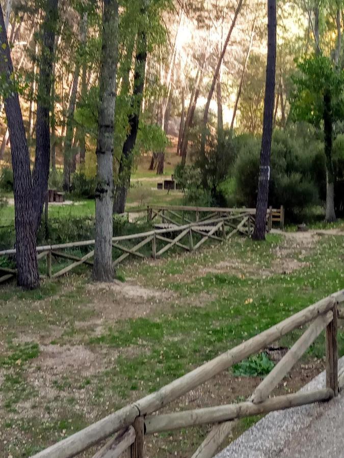 Casa Pinos Guest House Siles Exterior photo